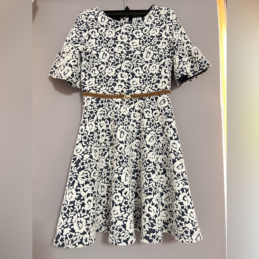 Janie and Jack Blue and White A-Line Dress with Flutter Sleeves
